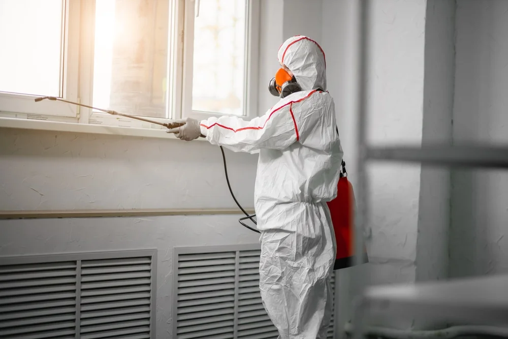 Professional mold remediation services in Troy, MO